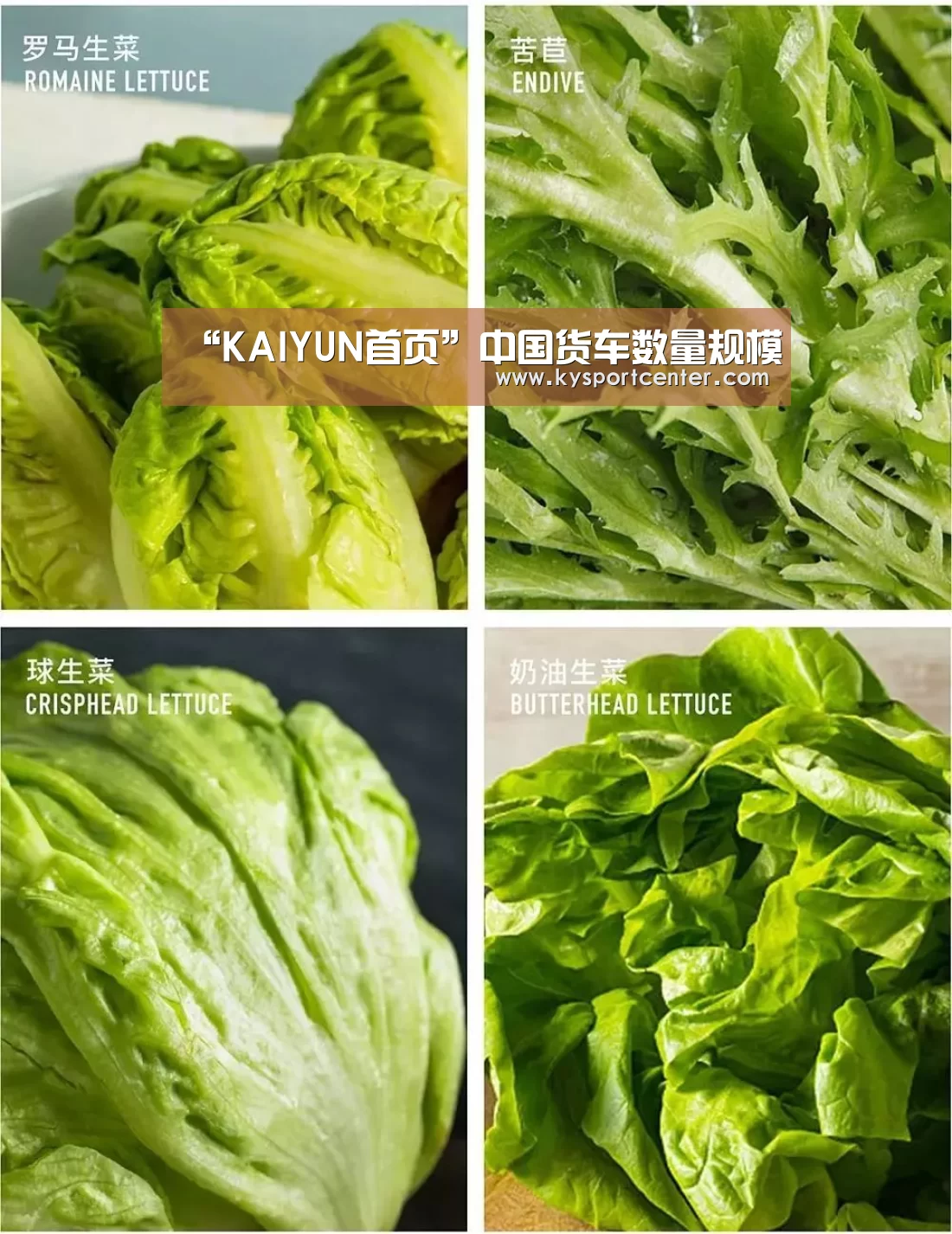 “KAIYUN首页”中国货车数量规模(图4) 开云体育赛事