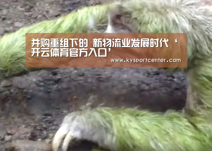 并购重组下的 新物流业发展时代‘开云体育官方入口’(图1) 开云比分