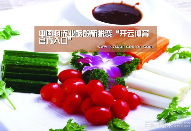 中国物流业酝酿新蜕变“开云体育官方入口”(图3) KAIYUN首页