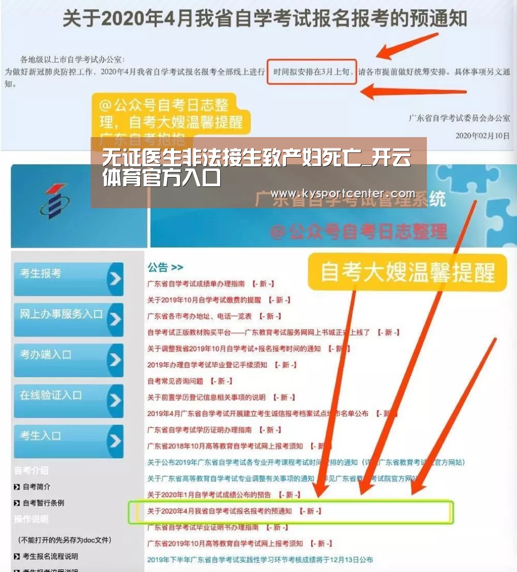 开云比分