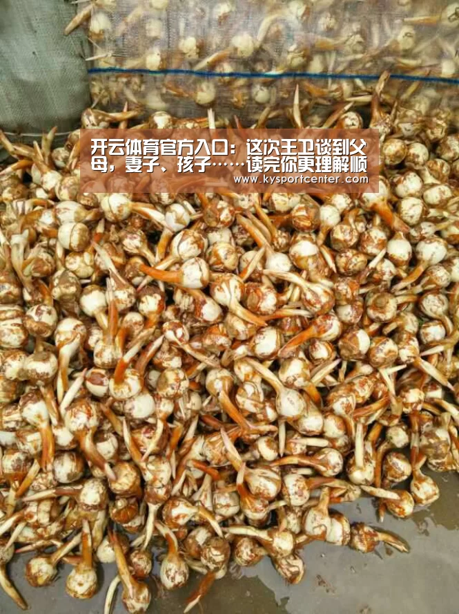 开云体育官方入口:这次王卫谈到父母,妻子、孩子……读完你更理解顺丰文化(图2) 开云体育赛事