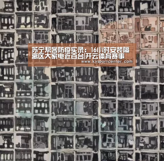 苏宁帮客防疫实录:16小时安装隔离区大家电近百台|开云体育赛事(图2) 开云体育官方入口