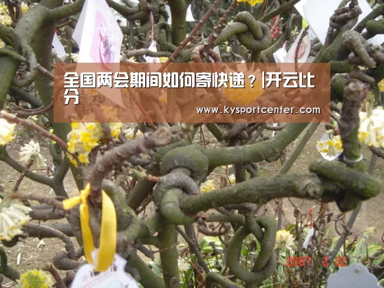 全国两会期间如何寄快递?|开云比分(图3) 开云体育赛事