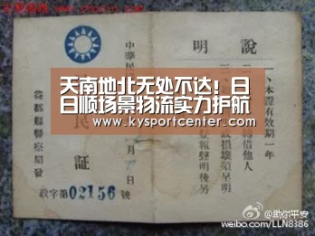 开云比分