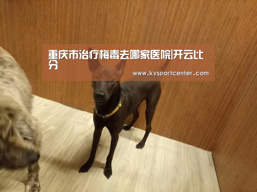 开云体育赛事