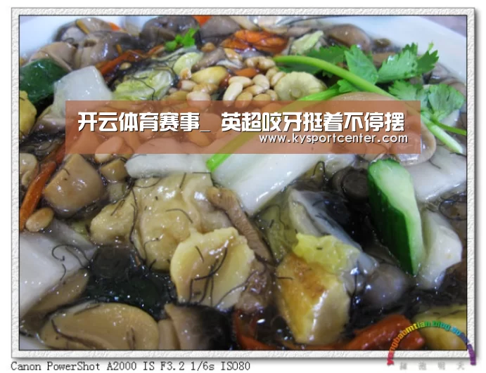开云体育赛事_
英超咬牙挺着不停摆(图2) KAIYUN首页