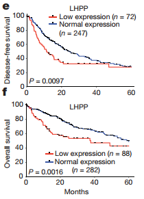 【开云比分】2018年中国快递十大趋势(图1) 开云比分
