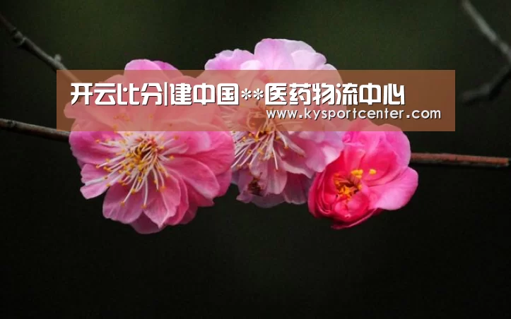 开云比分|建中国**医药物流中心(图2) 开云体育官方入口