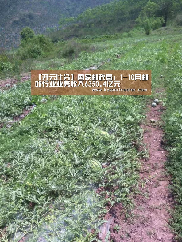 【开云比分】国家邮政局:1-10月邮政行业业务收入6350.4亿元(图1) KAIYUN首页