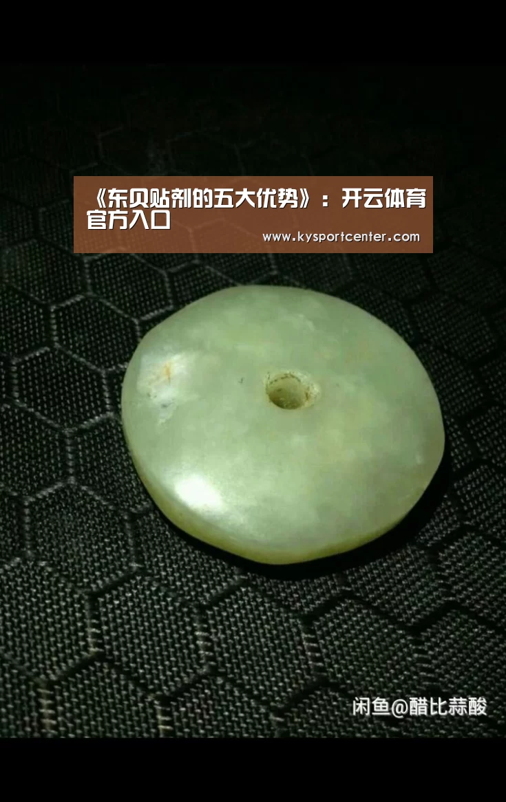 《东贝贴剂的五大优势》:开云体育官方入口(图2) 开云比分