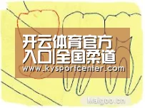 开云体育官方入口|全国柔道锦标赛布合吴树根夺冠 于颂程训钊参赛(图2) KAIYUN首页